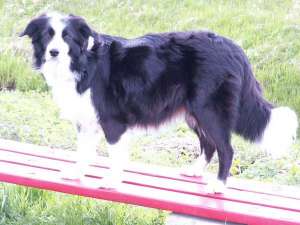0429Pict0005.jpg