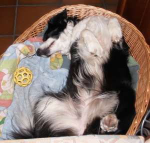 Spielpause