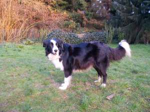 Moni Ende 8. Woche