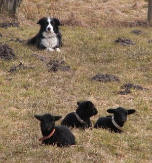 Moni und unsere 3 Zwillings-Kinder