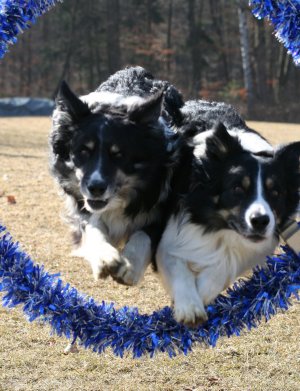 Dusty und links von ihm sein Sohn Merlin