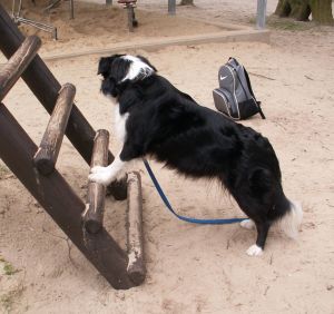 Moni klettert