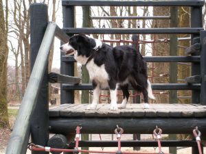 Moni klettert