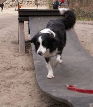 Moni klettert