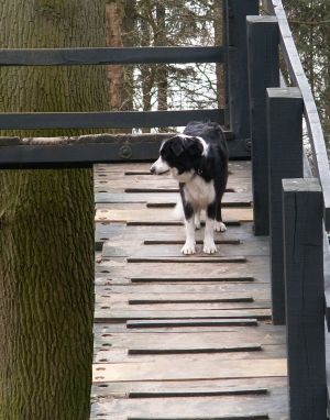 Moni klettert