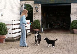 Wasserspiele zu Hause