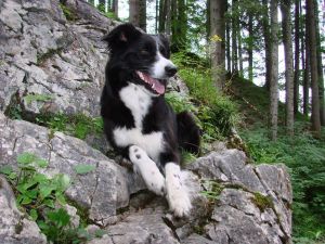 Aufstieg auf die Vilser Alm