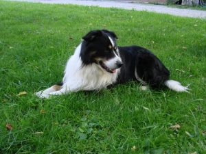 On my own Closely Guarded Secret Jack