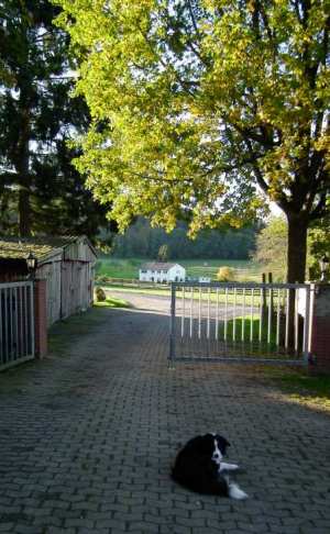 DSCF0836.JPG
