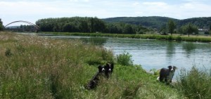 DSCF4369.JPG