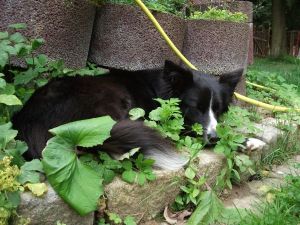 ...und im n�chsten Moment eingeschlafen