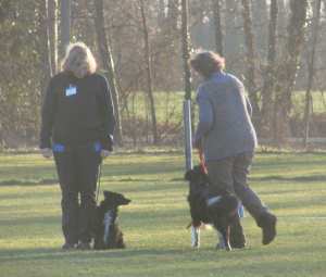 Verhalten gegen�ber anderen Hunden 