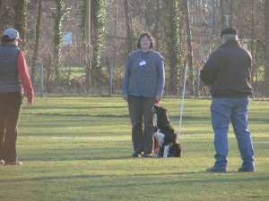 Verhalten gegen�ber anderen Hunden 