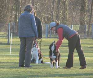 Stehen und Betasten 10 Punkte