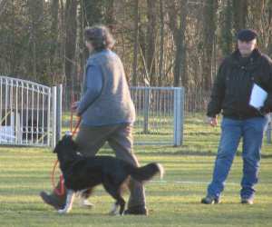 Leinenf�hrigkeit 9,5 Punkte