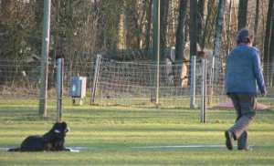 Sitz aus der Bewegung (leider!) 0 Punkte