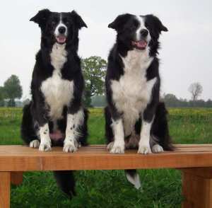 Bijou links mit Mama Moni