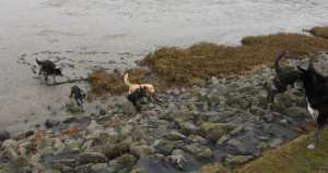 DSCF6338.JPG