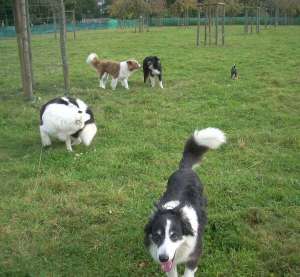 Merlin2012-09-17013.JPG