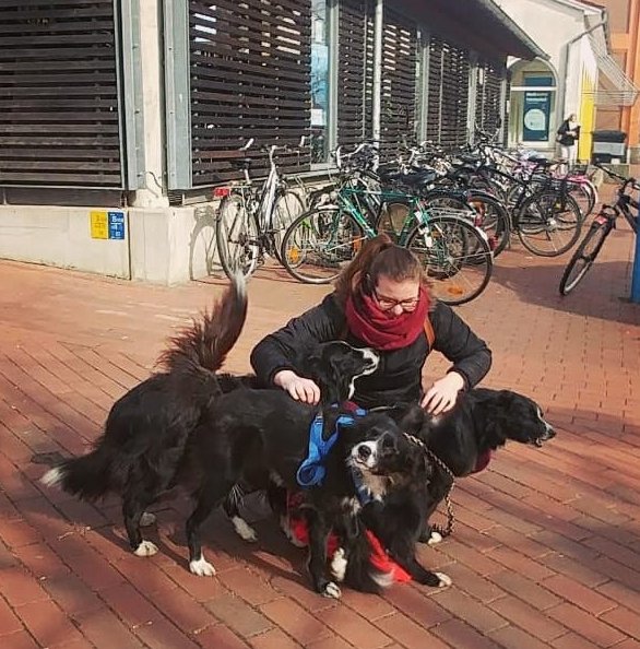 600HundeIMG_20180305_150020_360.jpg
