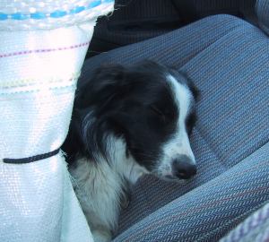 Schlafplatz im Sacktunnel