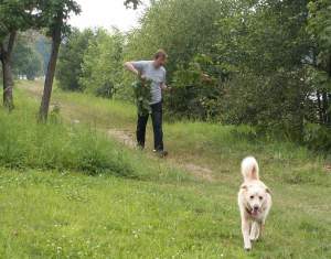 Die Herren kommen von Jagd: Kirschen haben sie gesammelt!