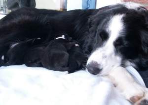 Puh, ist das erm�dend!