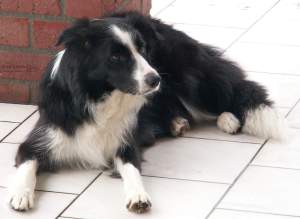 Mama Moni k�hlt ihr Ges�uge 02.02.05