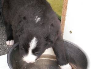 Amidala erf�hlt...!