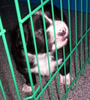 Was ist denn das? Da scheint es doch noch mehr zu entdecken zu geben. Aber warum komme ich da nur nicht hin?