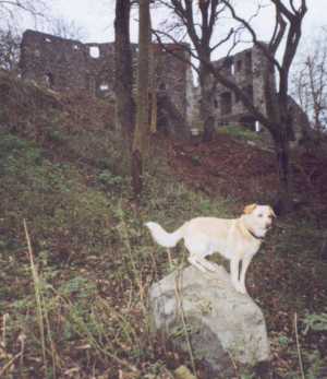 Savage vor Hohentwiel-Ruine