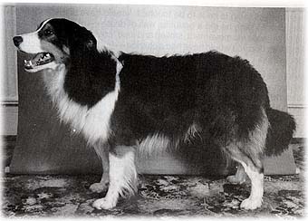 Rosehurst The George