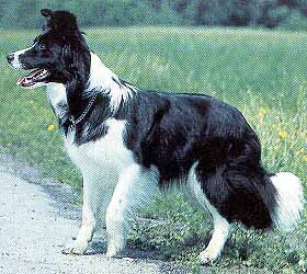 Yolanda You Learn of Shipelle